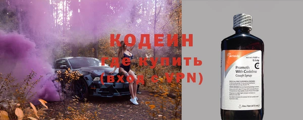 амф Дмитриев