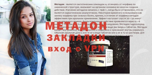 прущие грибы Дмитровск