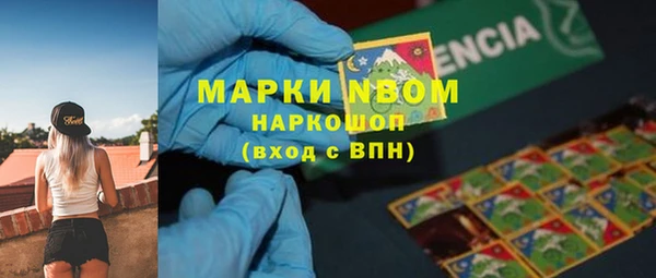 амф Дмитриев