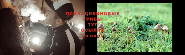 прущая мука Щучье