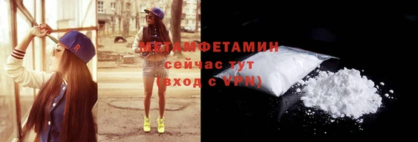 прущие грибы Дмитровск