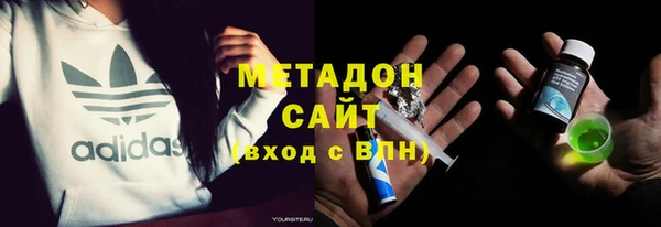 прущие грибы Дмитровск