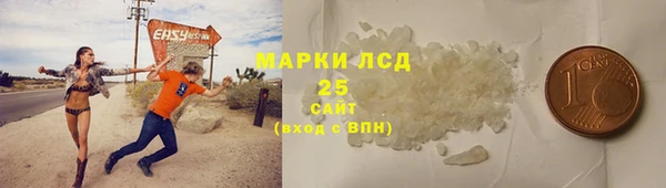 гидра Щигры