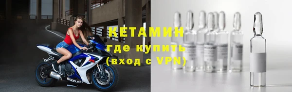амф Дмитриев