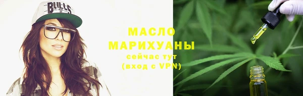 амф Дмитриев