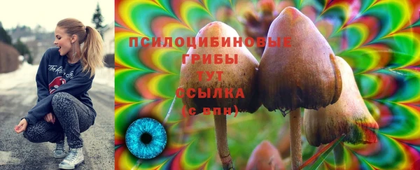 прущая мука Щучье