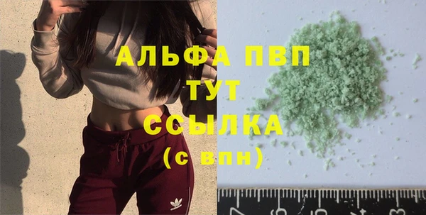 гидра Щигры