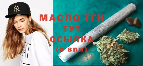 гидра Щигры