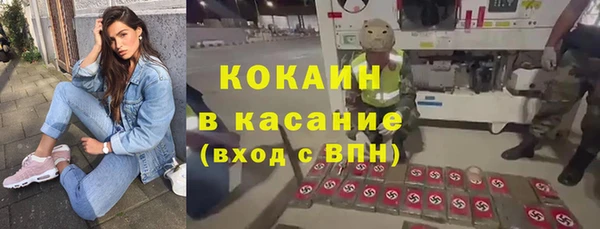 прущие грибы Дмитровск