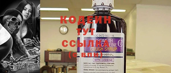 прущие грибы Дмитровск